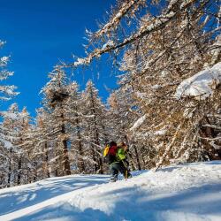 Grivel Monterosa Kar Hediği Size1 SSMROS.1.R - 2