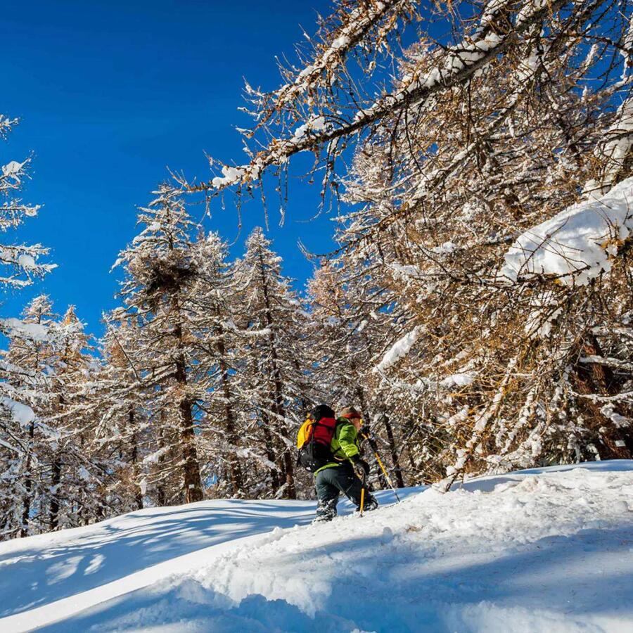 Grivel Monterosa Kar Hediği Size1 SSMROS.1.R - 2