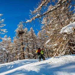 Grivel Monterosa Kar Hediği Size2 SSMROS.2.Y - 2