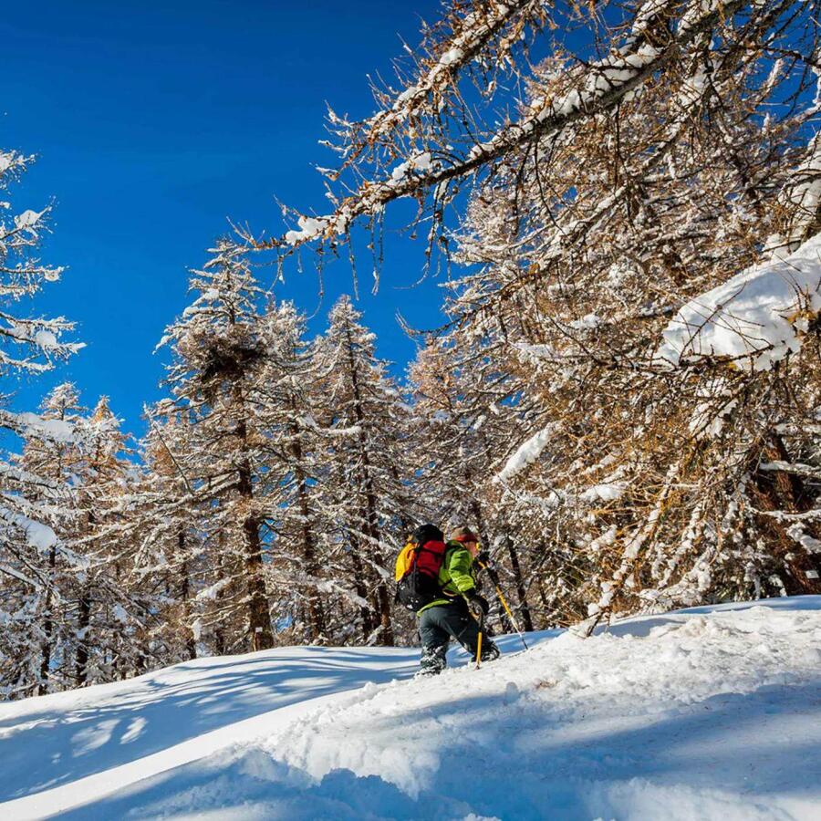 Grivel Monterosa Kar Hediği Size2 SSMROS.2.Y - 2