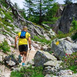 Grivel Trail 3 parça 112 cm Yürüyüş Batonu POTRA3.12P - 6