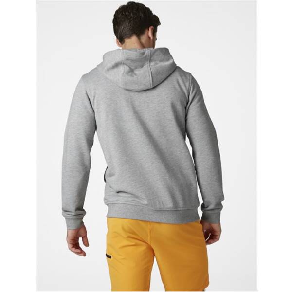 Helly Hansen HH Logo Full Zip Hoodie Erkek Sweatshirt HHA.34163-949 - 4