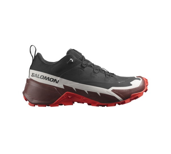 Salomon Cross Hike 2 GTX Erkek Outdoor Ayakkabı L41730200