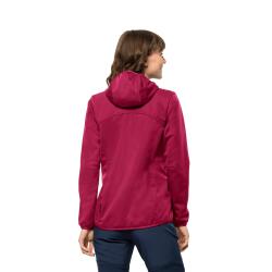 Jack Wolfskin Windhain Hoody Kadın Softshell Ceket 1307481-2160 - 3