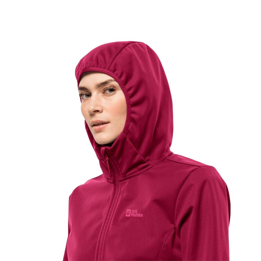 Jack Wolfskin Windhain Hoody Kadın Softshell Ceket 1307481-2160 - 4