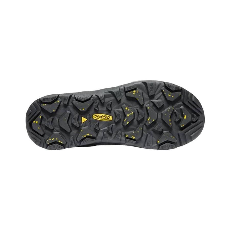 Keen Revel IV MID Polar Erkek Kışlık Bot 1023618 - 5