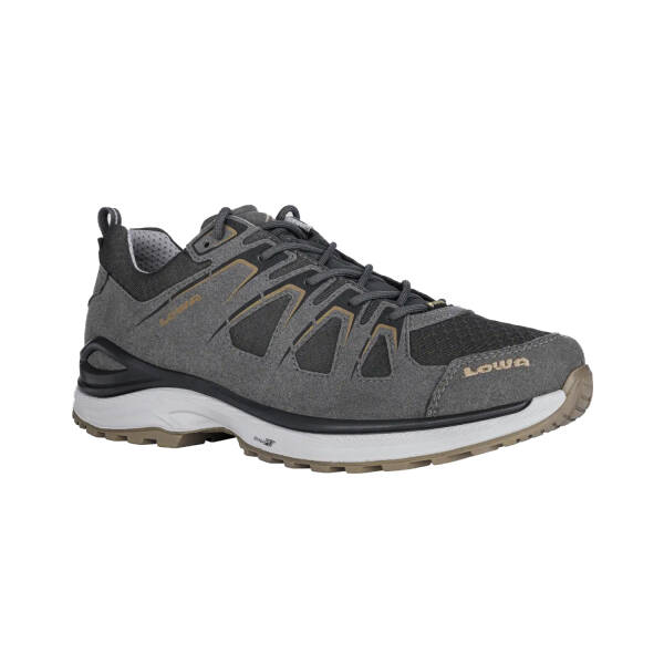 Lowa Innox Evo GTX® Lo Erkek Ayakkabı 310611 - 2