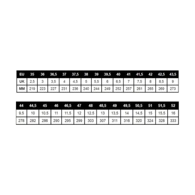 Lowa Innox Evo GTX® Lo Erkek Ayakkabı 401310611 - 2