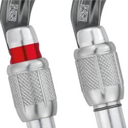 Petzl William Kilitli Karabina M36A SL - 3