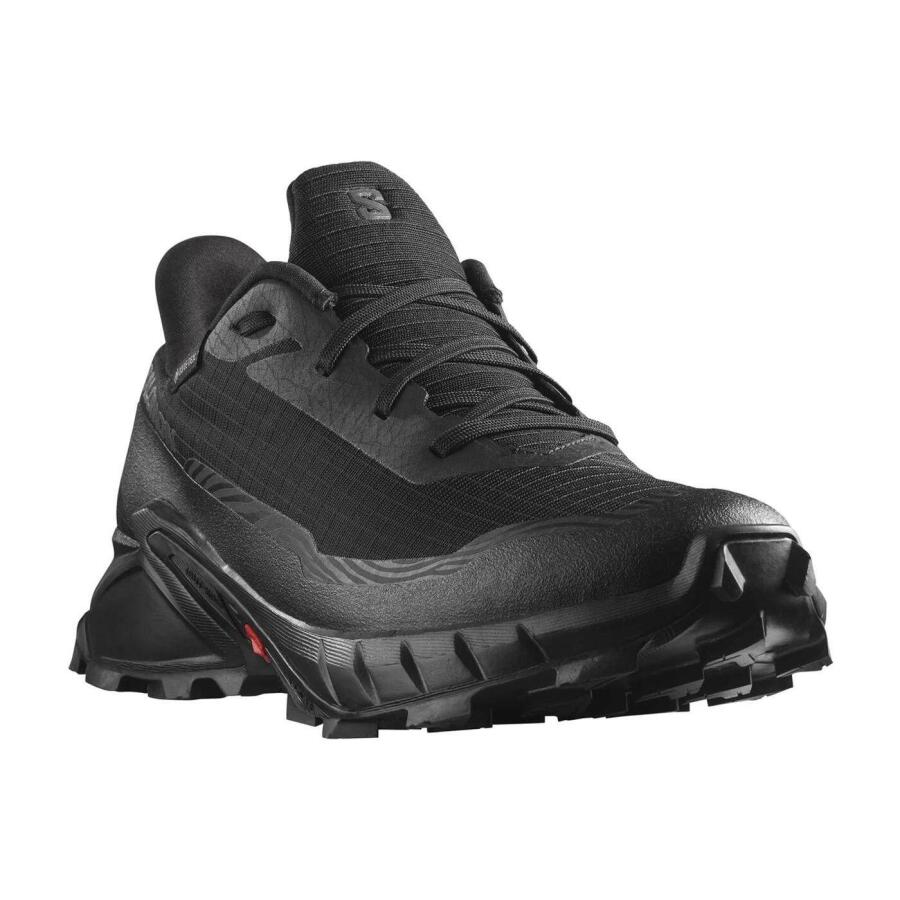 Salomon Alphacross 5 GTX Erkek Koşu Ayakkabısı L47307500 - 2