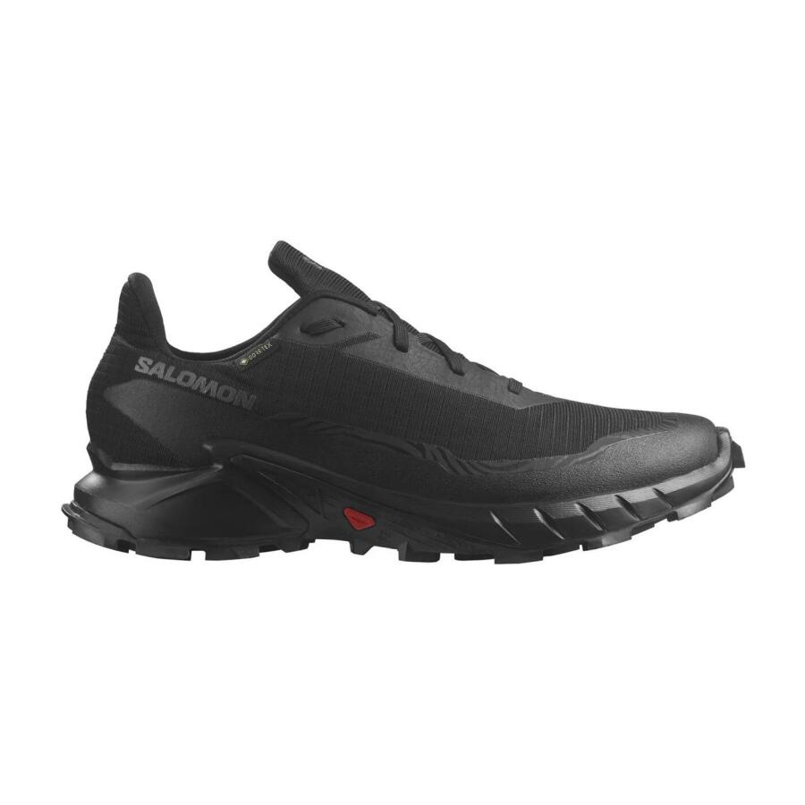 Salomon Alphacross 5 GTX Erkek Koşu Ayakkabısı L47307500 - 1