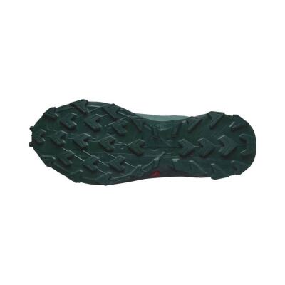 Salomon Alphacross 5 GTX Erkek Koşu Ayakkabısı L47595000 - 2