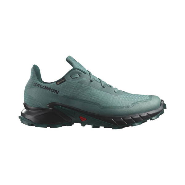 Salomon Alphacross 5 GTX Erkek Koşu Ayakkabısı L47595000 - 1