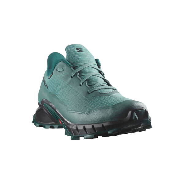 Salomon Alphacross 5 GTX Erkek Koşu Ayakkabısı L47595000 - 4