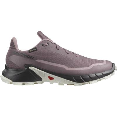 Salomon Alphacross 5 GTX W Kadın Koşu Ayakkabısı L47311000 - 1