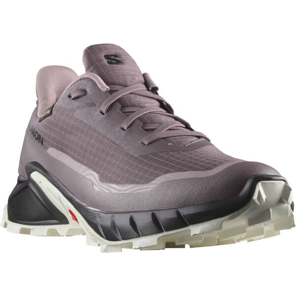 Salomon Alphacross 5 GTX W Kadın Koşu Ayakkabısı L47311000 - 3