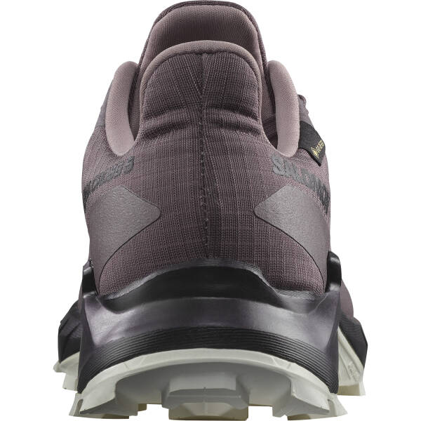 Salomon Alphacross 5 GTX W Kadın Koşu Ayakkabısı L47311000 - 4