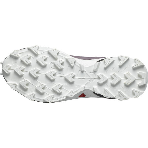 Salomon Alphacross 5 GTX W Kadın Koşu Ayakkabısı L47311000 - 6