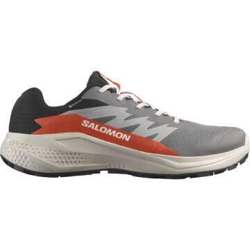 Salomon Alphaglide GTX Erkek Koşu Ayakkabısı L47975300 - 1