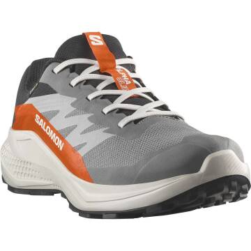 Salomon Alphaglide GTX Erkek Koşu Ayakkabısı L47975300 - 5