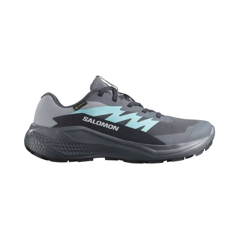 Salomon Alphaglide GTX Kadın Koşu Ayakkabısı L47802500 - 1