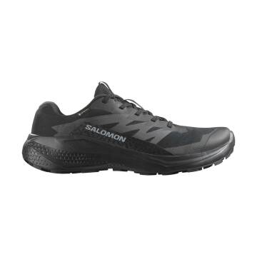 Salomon Alphaglide GTX Erkek Koşu Ayakkabısı L47802100 - SALOMON