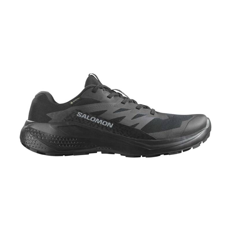 Salomon Alphaglide GTX Erkek Koşu Ayakkabısı L47802100 - 1