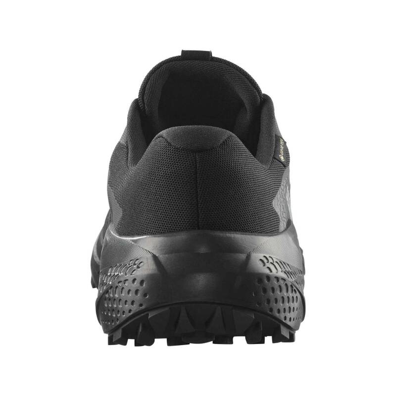 Salomon Alphaglide GTX Erkek Koşu Ayakkabısı L47802100 - 5