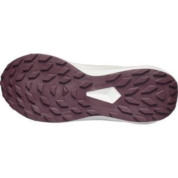 Salomon Alphaglide W Kadın Koşu Ayakkabısı L49092800 - 6