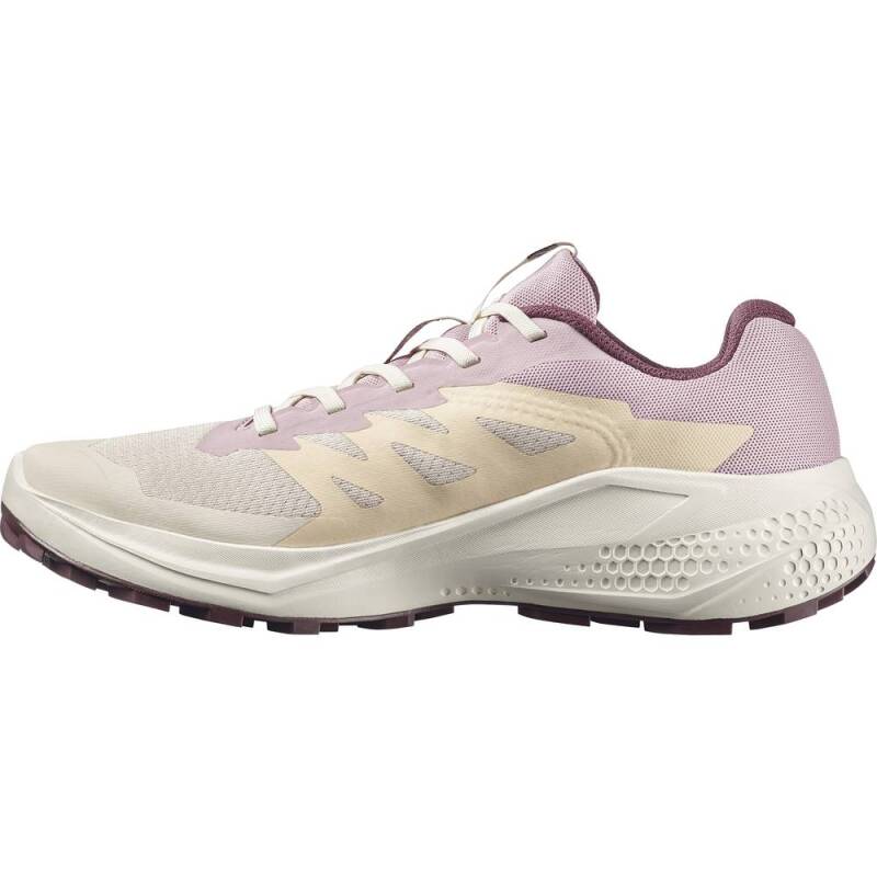 Salomon Alphaglide W Kadın Koşu Ayakkabısı L49092800 - 7