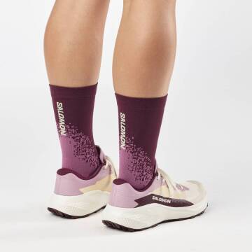 Salomon Alphaglide W Kadın Koşu Ayakkabısı L49092800 - 2