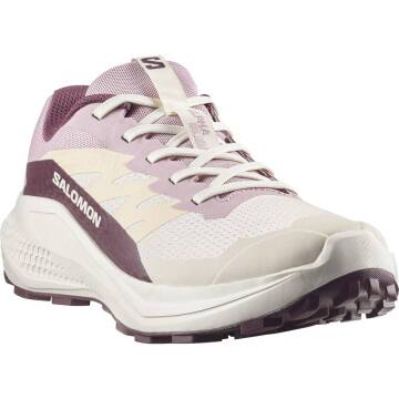 Salomon Alphaglide W Kadın Koşu Ayakkabısı L49092800 - 4