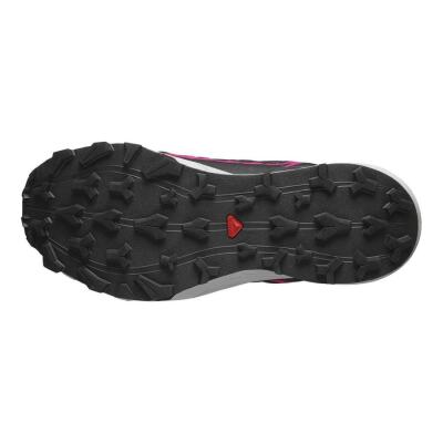 Salomon Thundercross GTX W Kadın Koşu Ayakkabısı L47383500 - 6