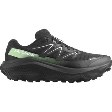 Salomon Ultra Flow 2 GTX Erkek Koşu Ayakkabısı L47981400 - 1