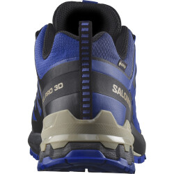 Salomon Xa Pro 3D V9 GTX Erkek Outdoor Ayakkabı L47270300 - 4