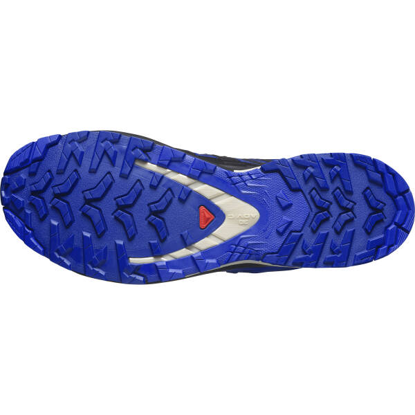 Salomon Xa Pro 3D V9 GTX Erkek Outdoor Ayakkabı L47270300 - 5
