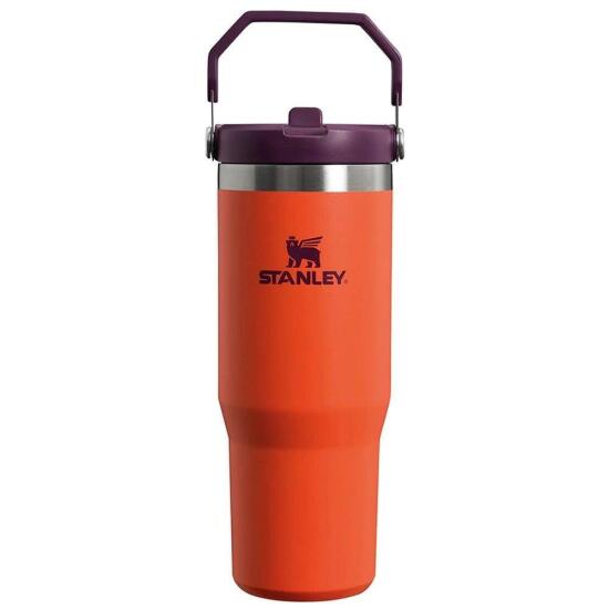 Stanley The IceFlow Flip Straw Pipetli Termos Bardak 0,89 LT 10-09993-314