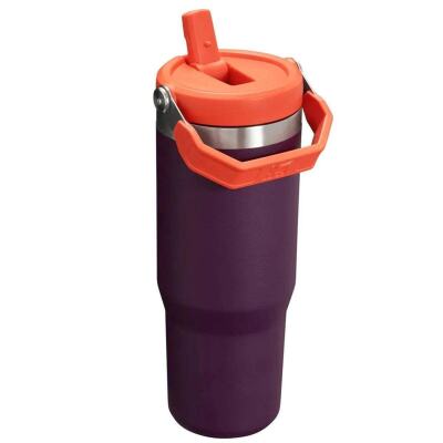 Stanley The IceFlow Flip Straw Pipetli Termos Bardak 0,89 LT 10-09993-538 - 2