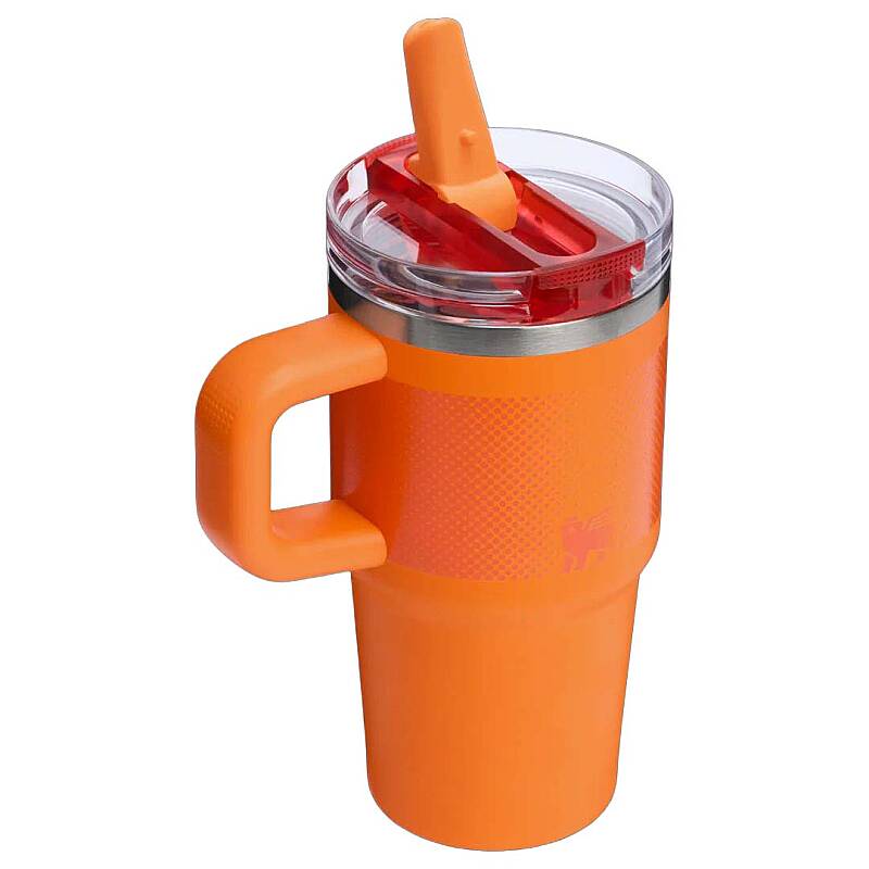 Stanley The Quencher ProTour Flip Straw Termos 0,60 LT-10-12484-099 - 3
