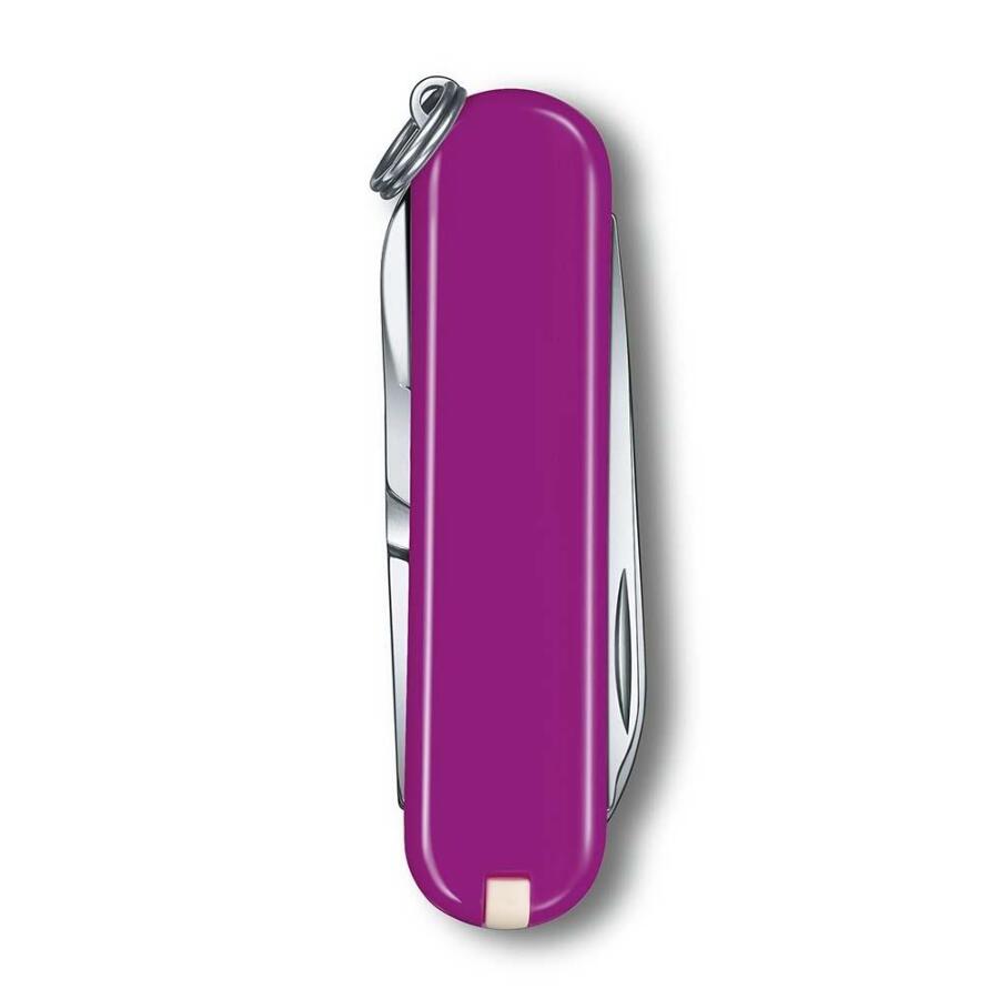 Victorinox Classic Çakı Tasty Grape 0.6223.52G - 3